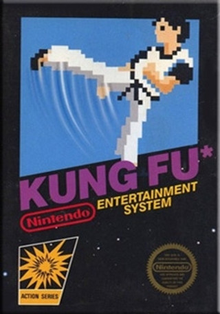 Kung Fu (Modul) (gebraucht)